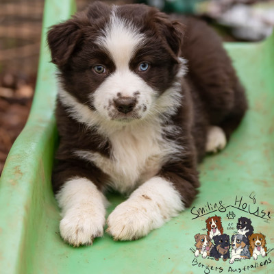 Yllara of the Amber Moon YPSILON