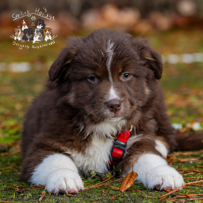 Your Gentle Heart AKI