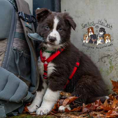 Yarden of the Sun and Moon BOLT